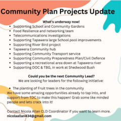 Community plan