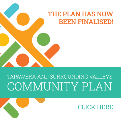 Community Plan