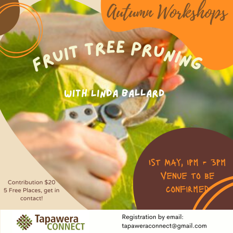 Fruit Pruning with Linda Ballards