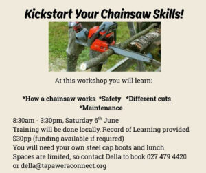 Kickstart Your Chainsaw Skills!